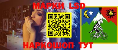 амф Донецк