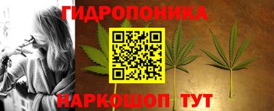ГАЛЛЮЦИНОГЕННЫЕ ГРИБЫ Донской