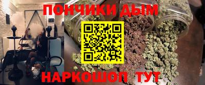 СК Дубна