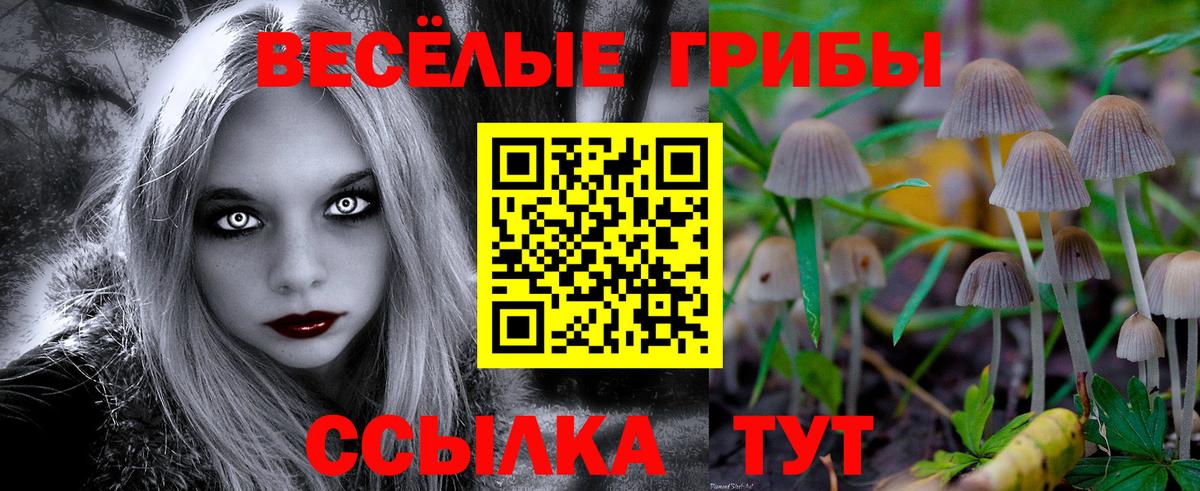 Галлюциногенные грибы MAGIC MUSHROOMS Кыштым