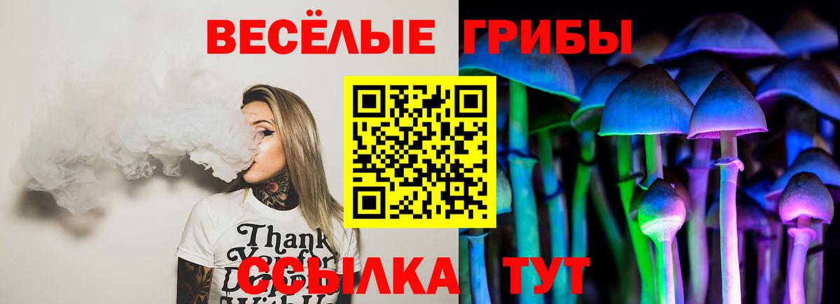 Кыштым  Псилоцибиновые грибы Psilocybe  Вход с VPN  Псилоцибиновые грибы Cubensis 